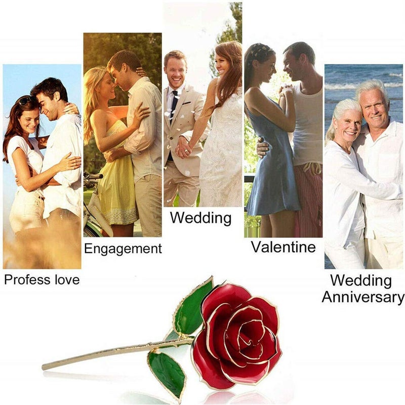 ENJOYPRO Valentines Day Gifts for Her, Real Rose Dipped in 24K Gold, Preserved Rose Flower, Golden Dipped Rose for Valentine's Day, Mothers Day, Wedding - Image 3